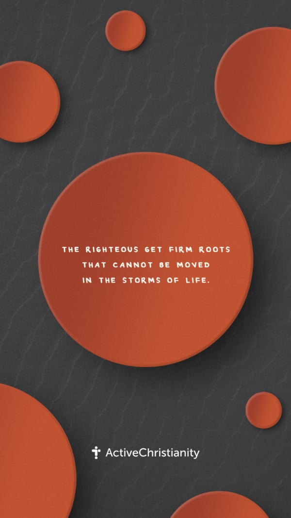 When we strive to be righteous, then we will get firm roots - something that cannot be moved in the... [Portrait 9:16]