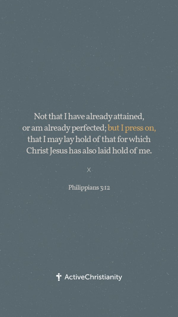 Philippians 3:12 Bibleverse wallpaper - Not that I have already ...