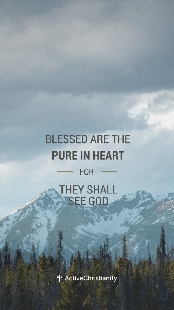 Blessed are the pure in heart for they shall see God. [Portrait 9:16]