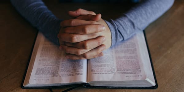 Can we really be conformed to the image of His Son? Romans 8:29