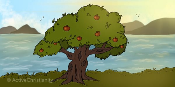 El arbol de la vida