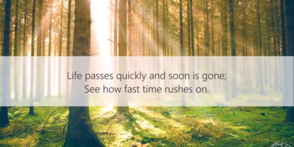 Du må øve og øve for mester å bli