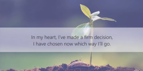 A new start