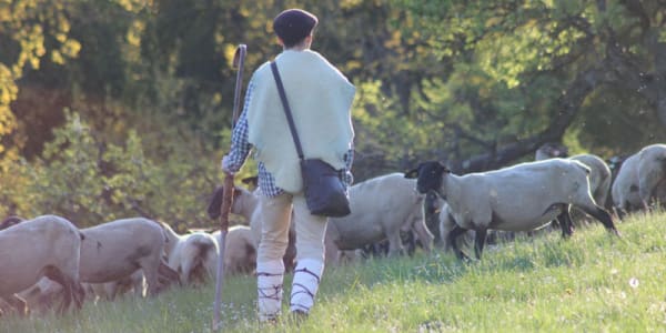 Jezus wil jouw goede herder zijn