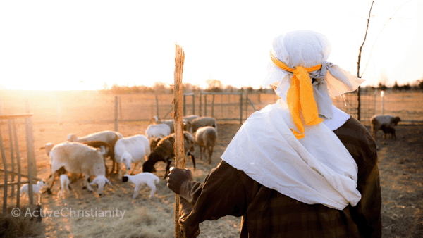 Jesus the Good Shepherd: Can He be your shepherd? John 10