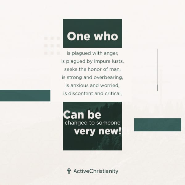 One WHO 
is plagued with anger,
is plagued by impure lusts,
seeks the honor of man,
is strong and ov... [Square]